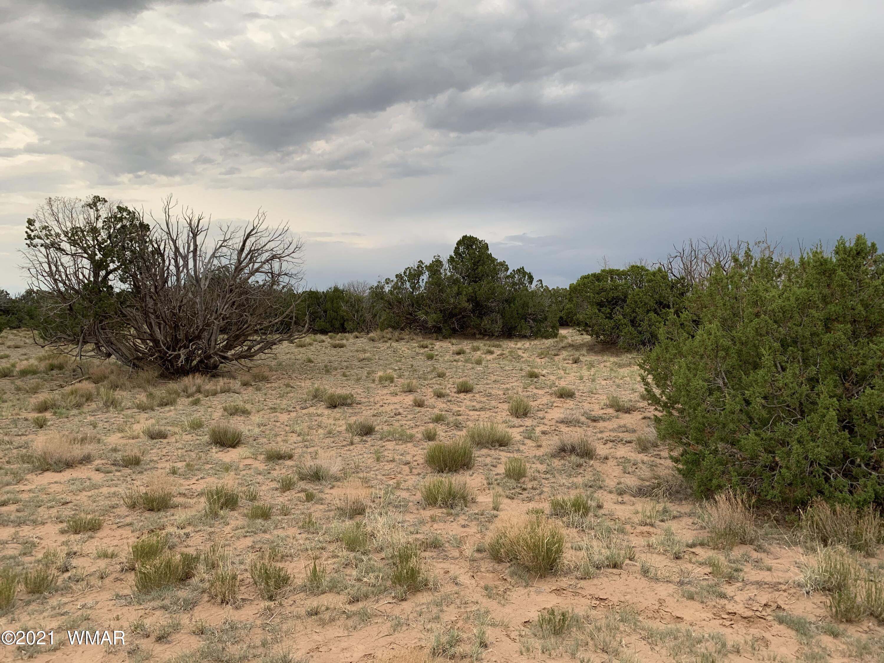 114 Red Sky Ranch St. Johns, AZ 85936 - Photo 2 of 6
