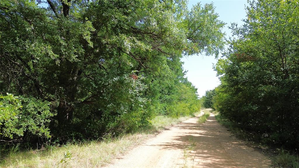 Tbd Nash Road Jacksboro, TX 76458 - Photo 19 of 28 Gravel pathway surrounded by dense green foliage