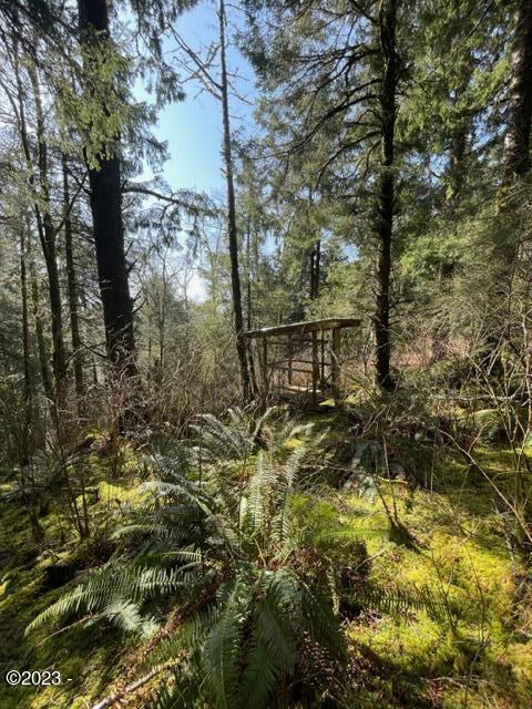 501 Brooten Hill Road Pacific City, OR 97135 - Photo 16 of 18 viewing platforms