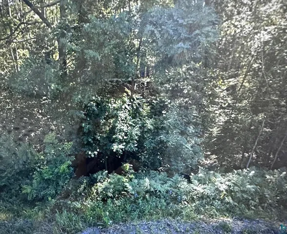 $100,000 | 74-xxx South Hallberg Road, Lake Nebagamon, WI 54849
