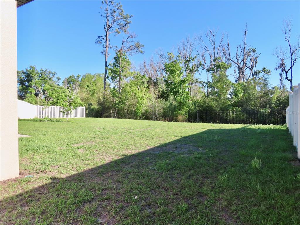 13149 Conquistador Loop Spring Hill, FL 34610 - Photo 8 of 30 a view of a garden with an outdoor space
