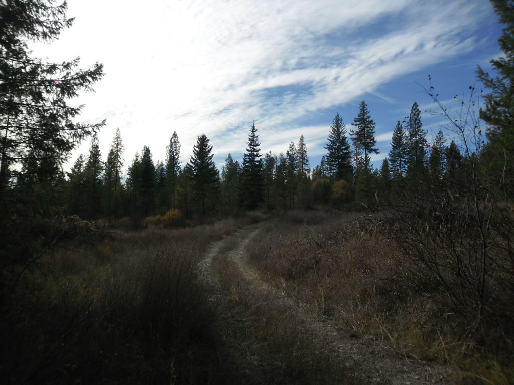 Lumberg Road Springdale, WA 99173 - Photo 1 of 20