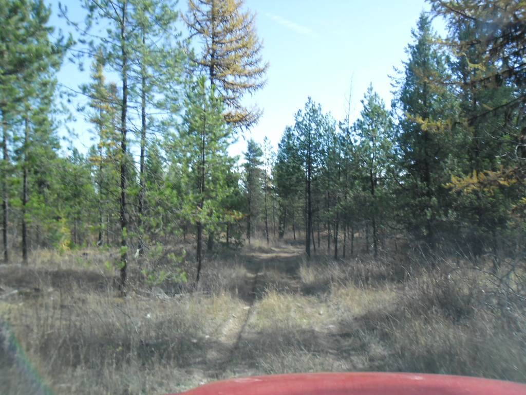Lumberg Road Springdale, WA 99173 - Photo 14 of 20