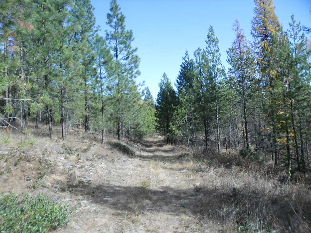 Lumberg Road Springdale, WA 99173 - Photo 17 of 20