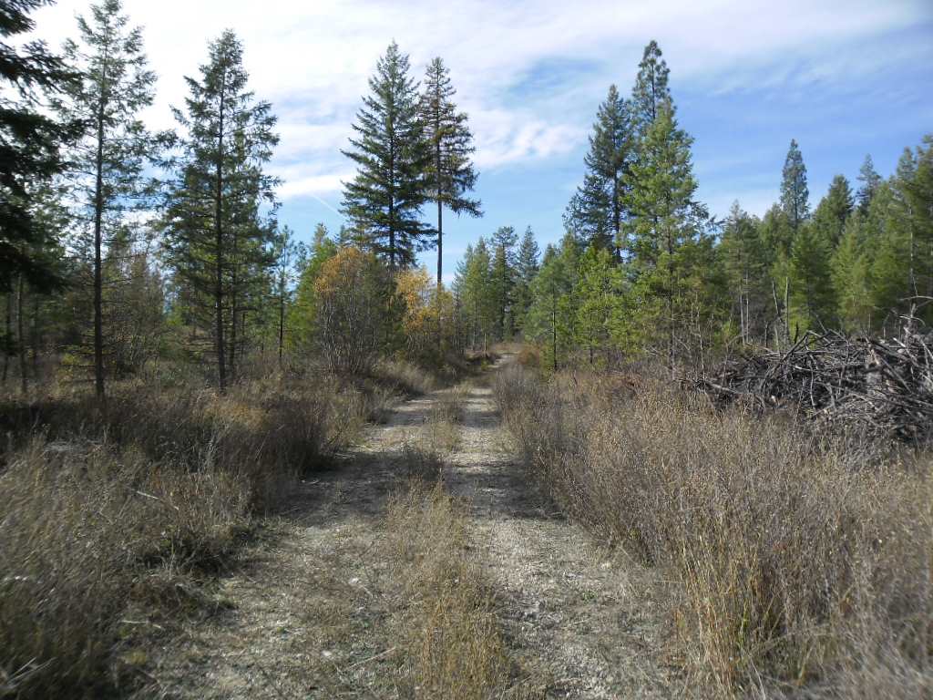 Lumberg Road Springdale, WA 99173 - Photo 3 of 20