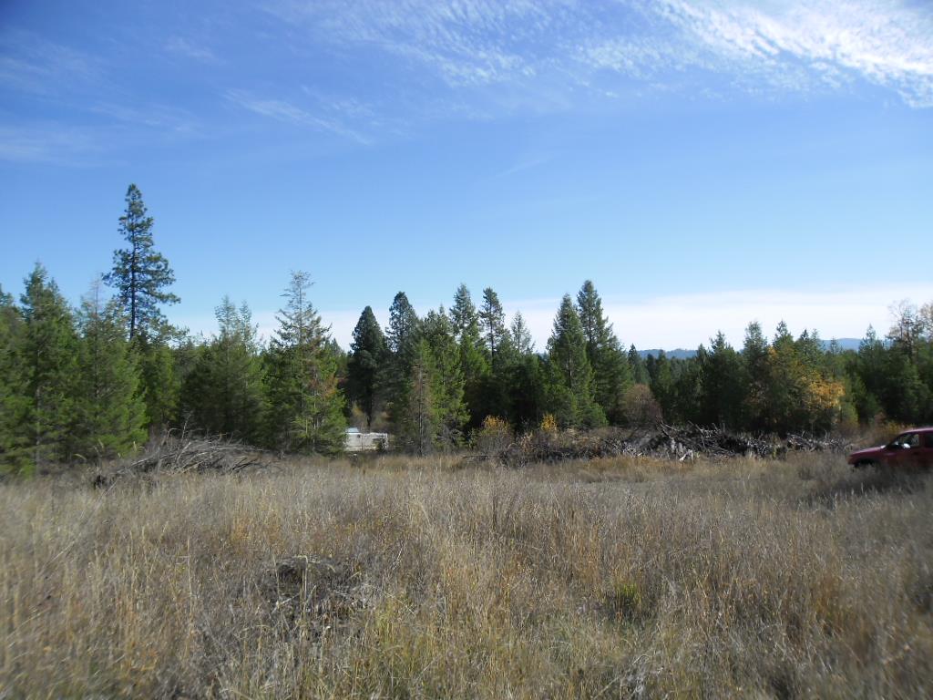 Lumberg Road Springdale, WA 99173 - Photo 4 of 20