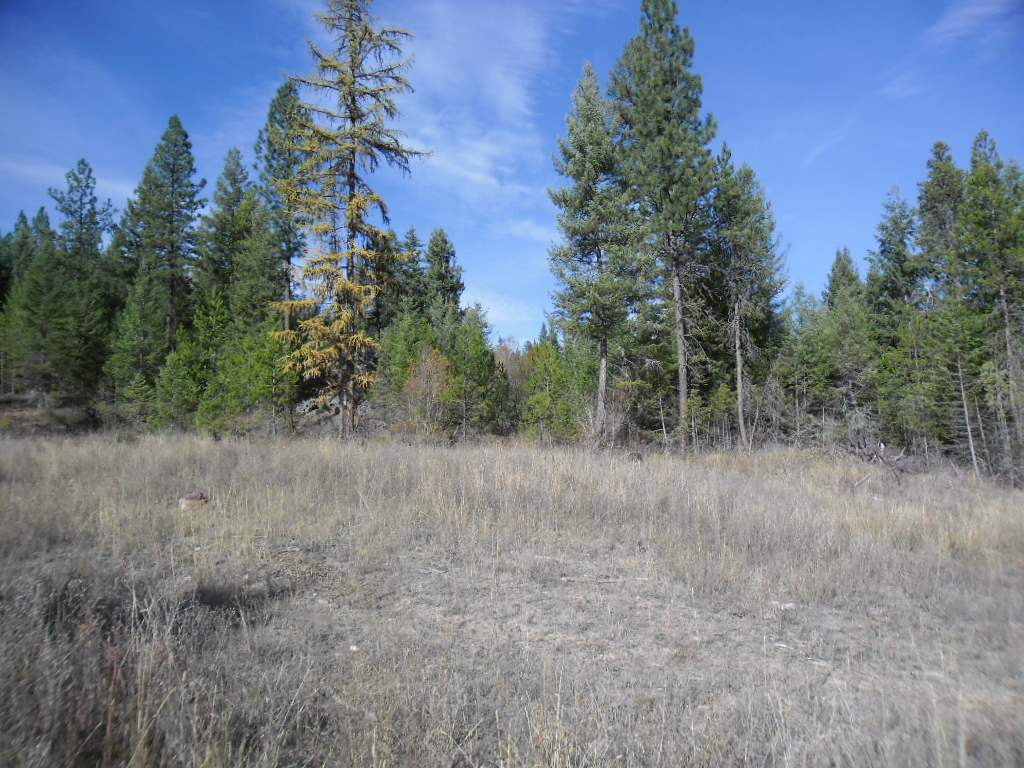 Lumberg Road Springdale, WA 99173 - Photo 7 of 20