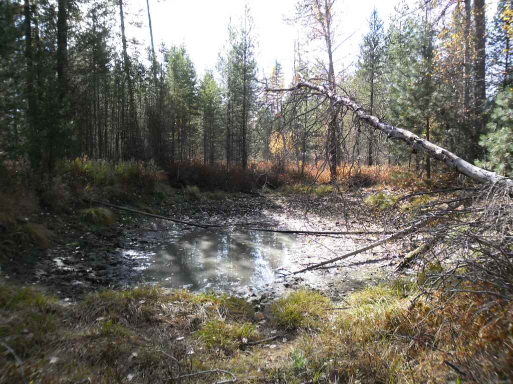Lumberg Road Springdale, WA 99173 - Photo 10 of 20