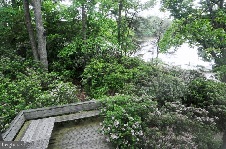 3902 Germantown Road Edgewater, MD 21037 - Photo 8 of 29 Deck