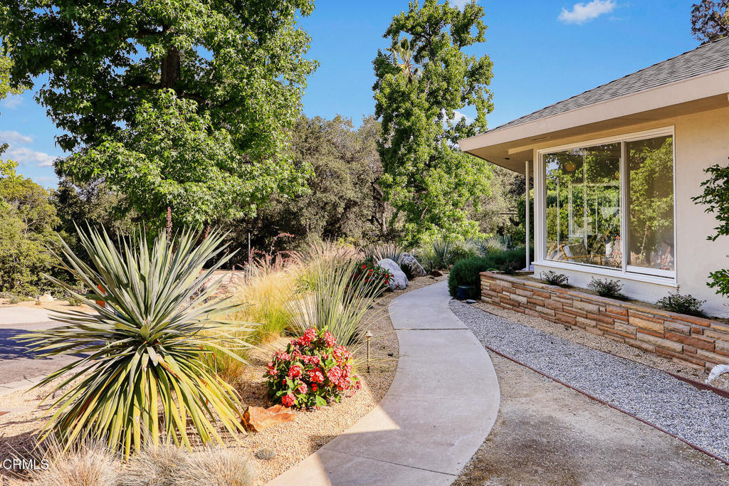 1620 Knollwood Drive Pasadena, CA 91103 - Photo 51 of 59 a couple of palm trees in front of a house