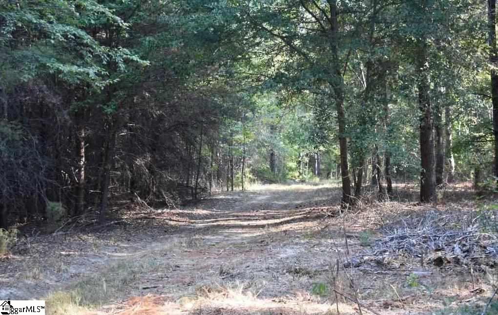 A1600 Metric Road, Unit LOT 7 Laurens, SC 29360 - Photo 12 of 35 Gallery Image 12