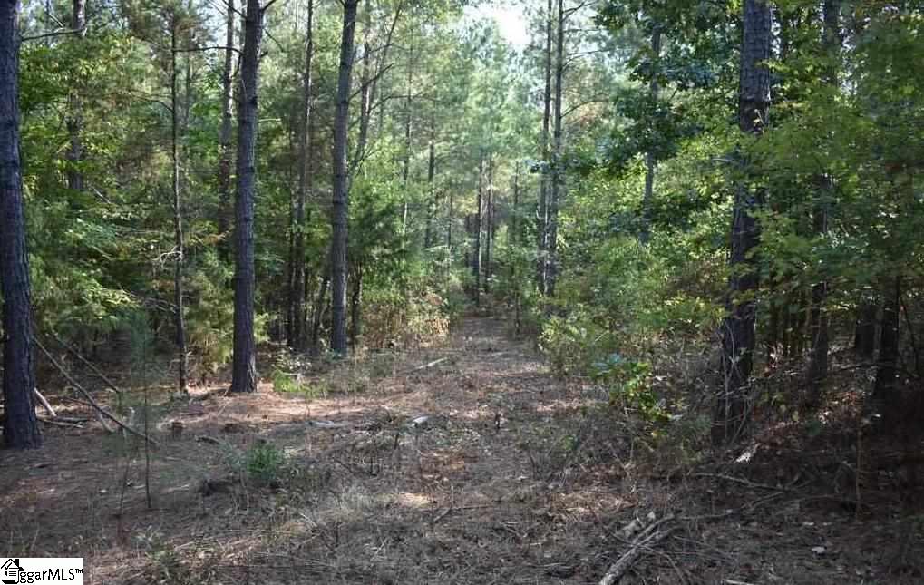 A1600 Metric Road, Unit LOT 7 Laurens, SC 29360 - Photo 18 of 35 Gallery Image 18