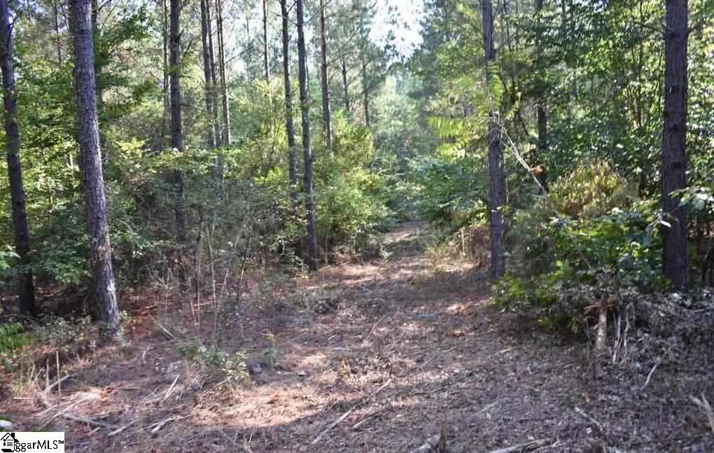A1600 Metric Road, Unit LOT 7 Laurens, SC 29360 - Photo 19 of 35 Gallery Image 19