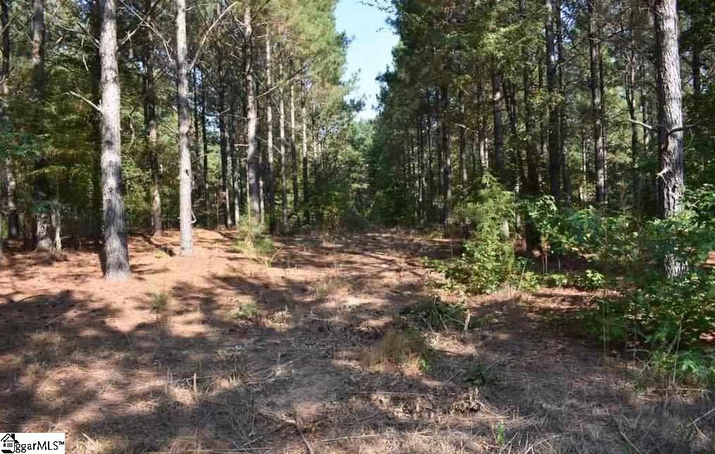 A1600 Metric Road, Unit LOT 7 Laurens, SC 29360 - Photo 31 of 35 Gallery Image 31
