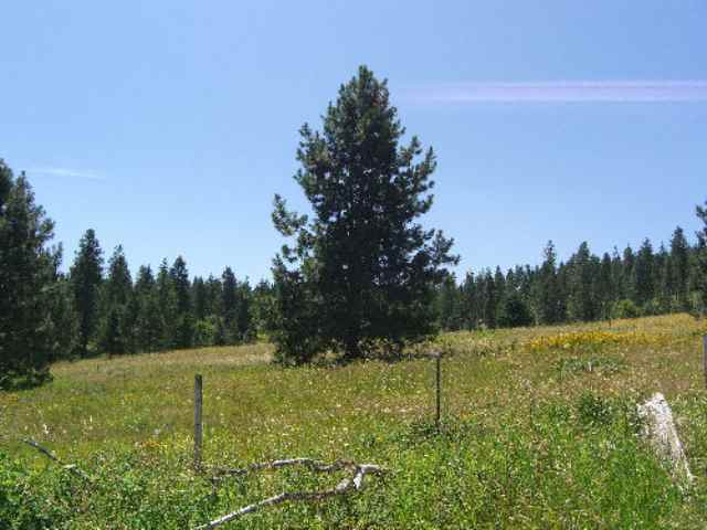822 Lot I Barzee Road Colville, WA 99114 - Photo 1 of 7 Gallery Image 1