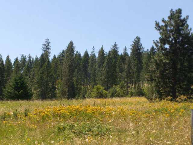 822 Lot I Barzee Road Colville, WA 99114 - Photo 3 of 7 Gallery Image 3