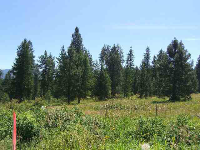 822 Lot I Barzee Road Colville, WA 99114 - Photo 4 of 7 Gallery Image 4