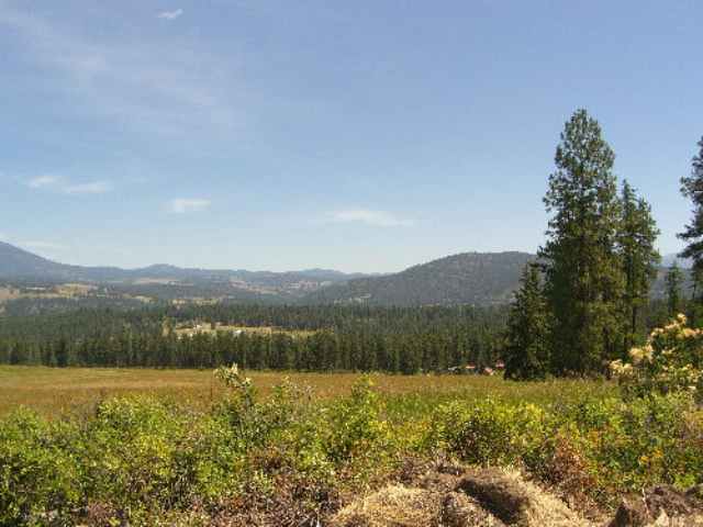 822 Lot I Barzee Road Colville, WA 99114 - Photo 6 of 7 Gallery Image 6
