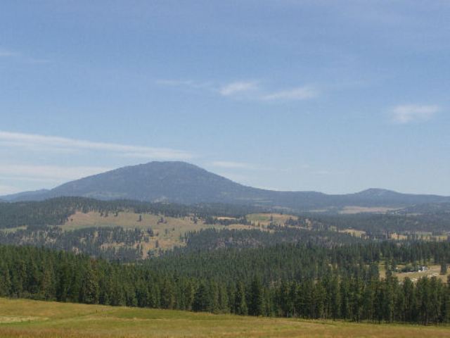 822 Lot I Barzee Road Colville, WA 99114 - Photo 7 of 7 Gallery Image 7