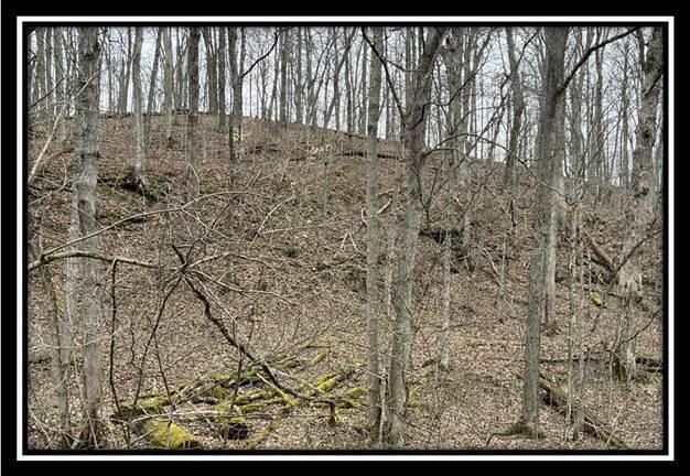 35471 Buck Run Road Langsville, OH 45741 - Photo 4 of 32