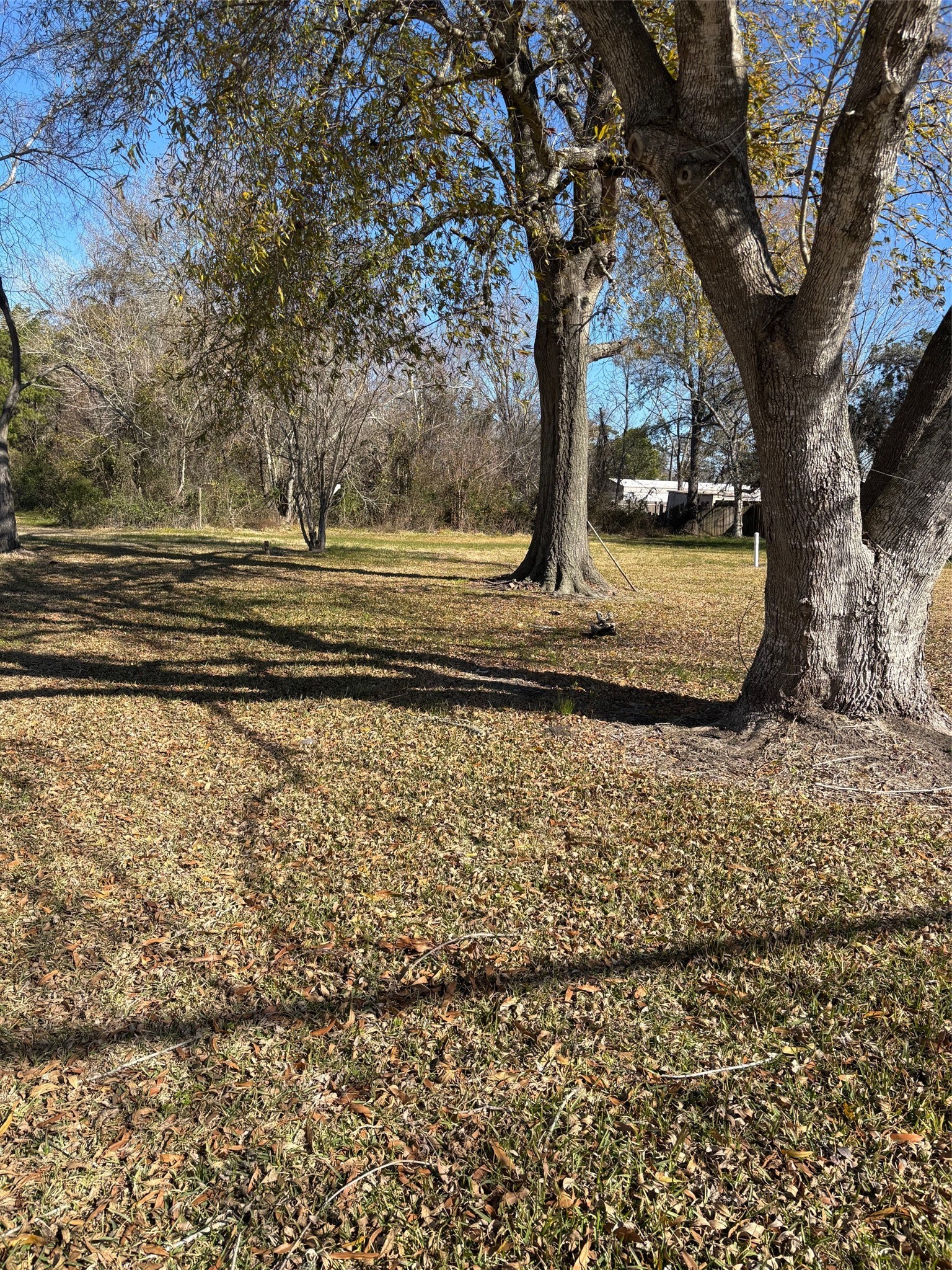 3015 Massey Tompkins Road Baytown, TX 77521 - Photo 4 of 6