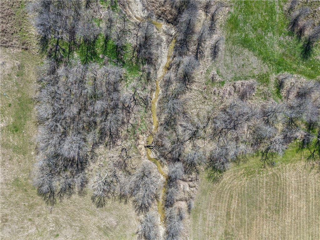 232 HCR 2302 South Abbott, TX 76621 - Photo 44 of 77