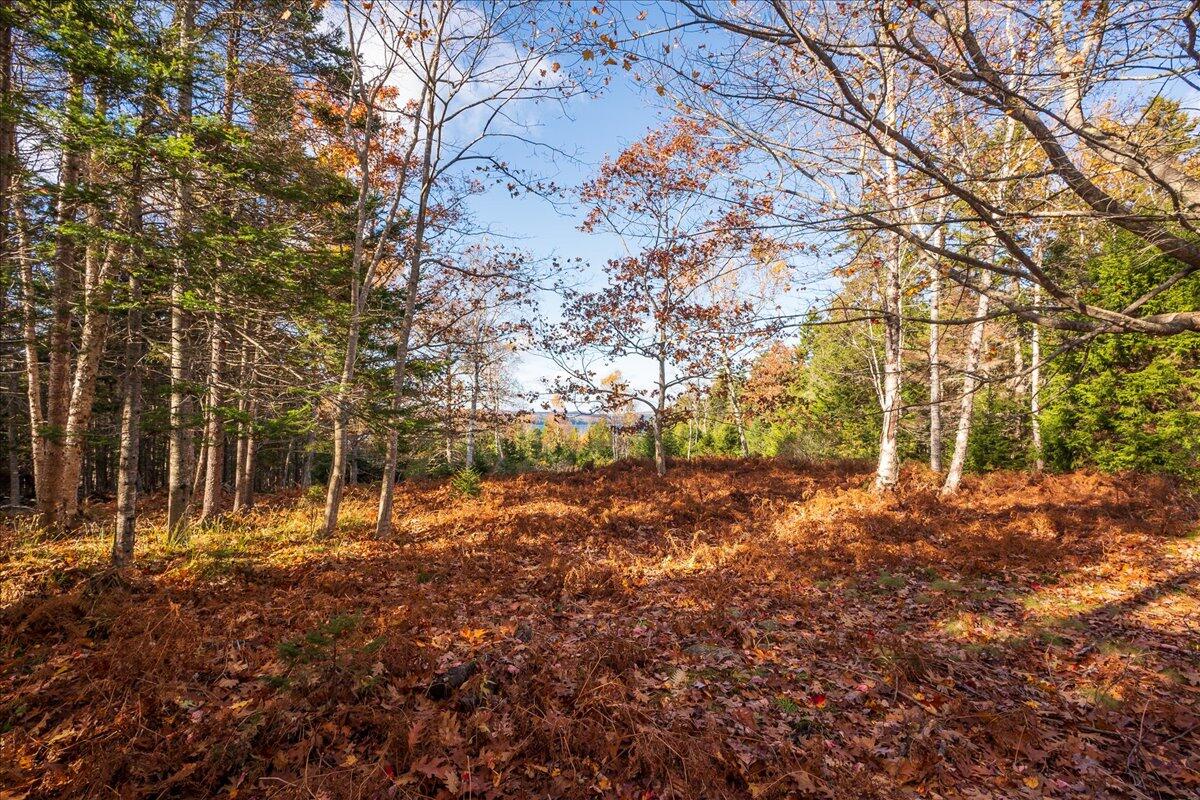 376 West Bay Road Islesboro, ME 04848 - Photo 3 of 67 43-376 W Bay Rd-43