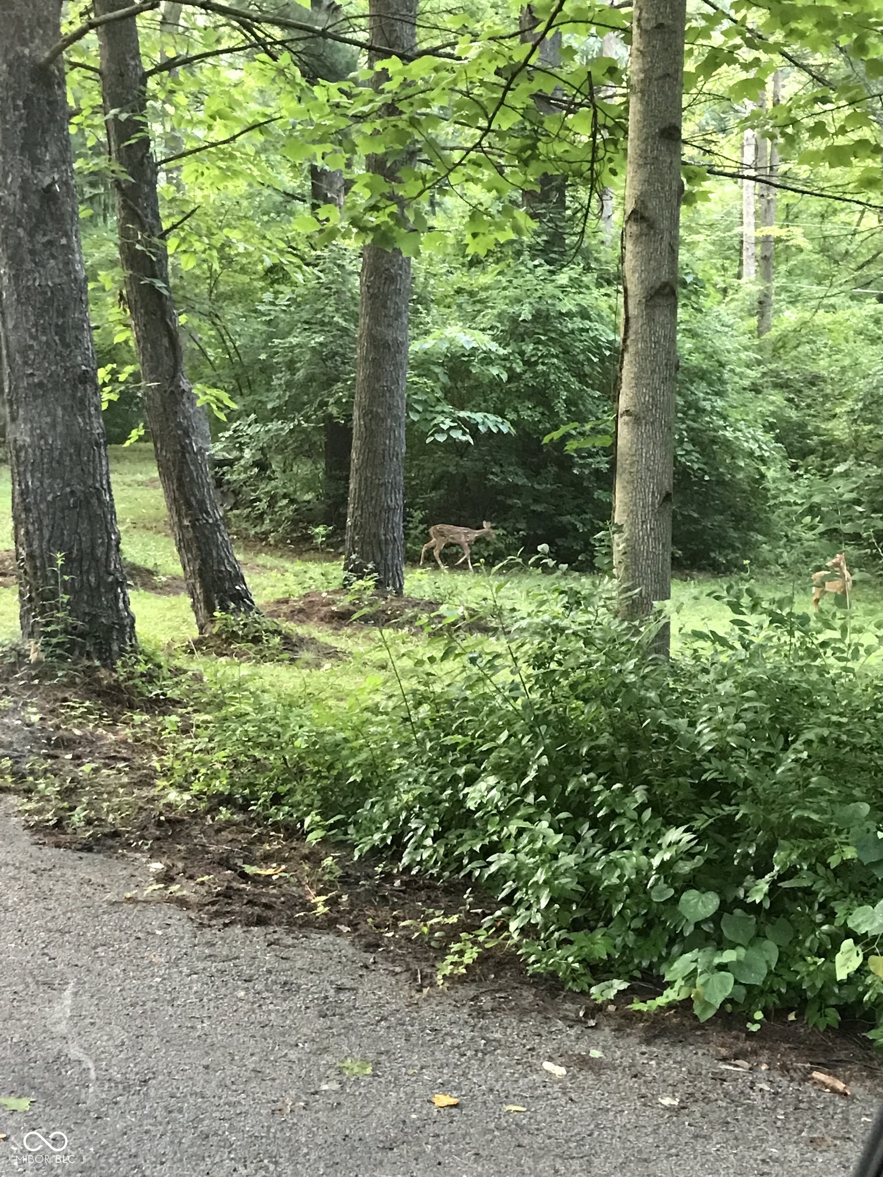 8650 Fall Creek Road Indianapolis, IN 46256 - Photo 53 of 85