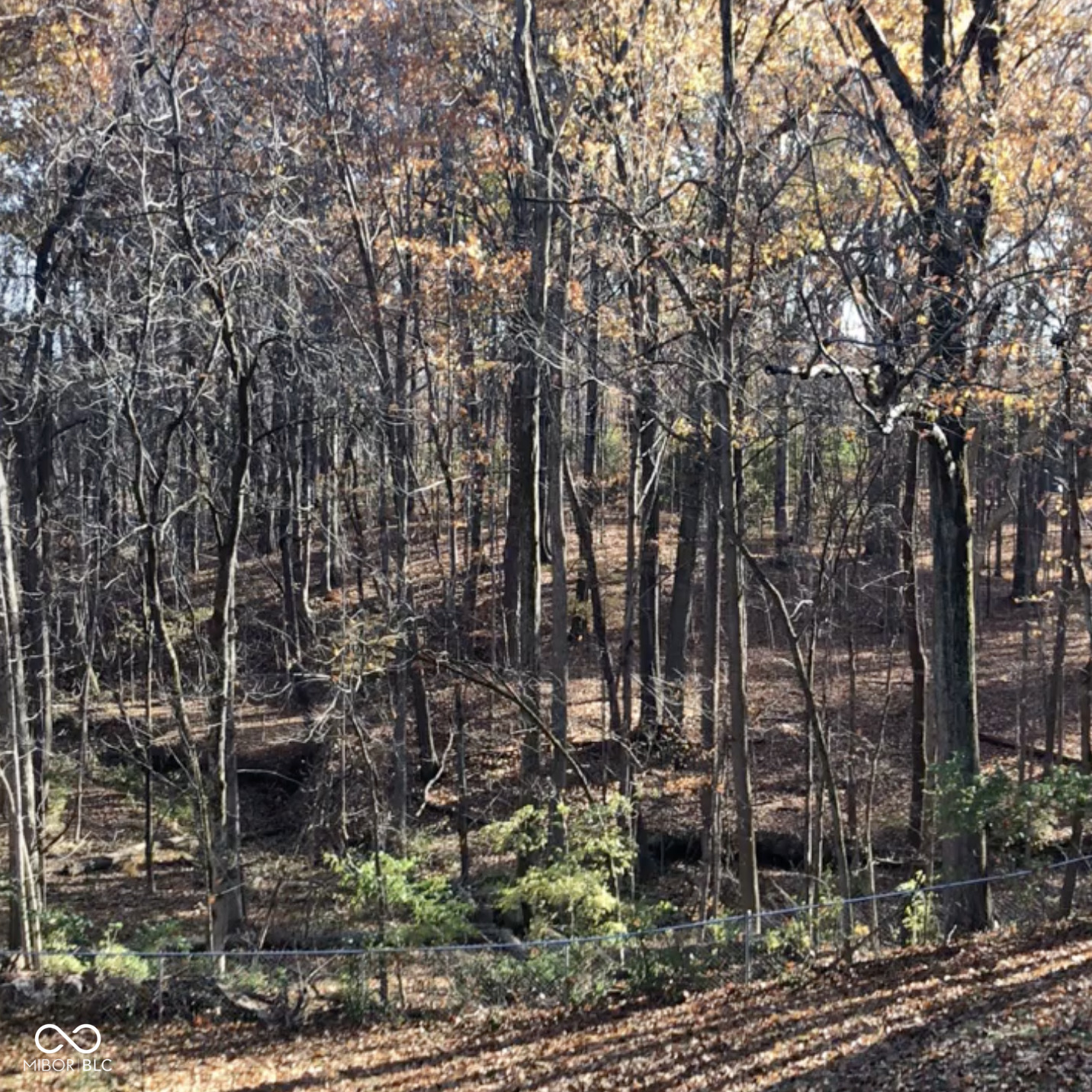 8650 Fall Creek Road Indianapolis, IN 46256 - Photo 84 of 85