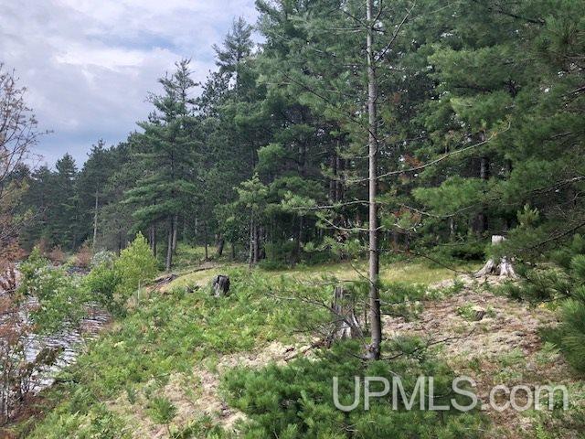 Tbd Adams Trail Seney, MI 49883 - Photo 11 of 16