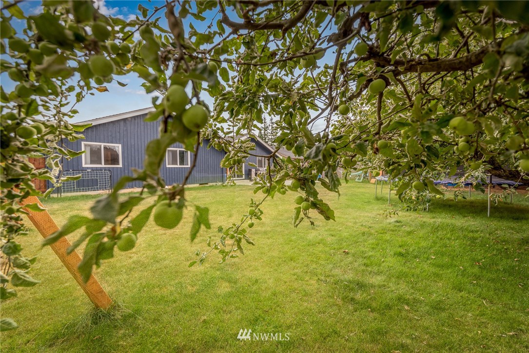 8635 Bender Road Lynden, WA 98264 - Photo 33 of 34 Gallery Image 33