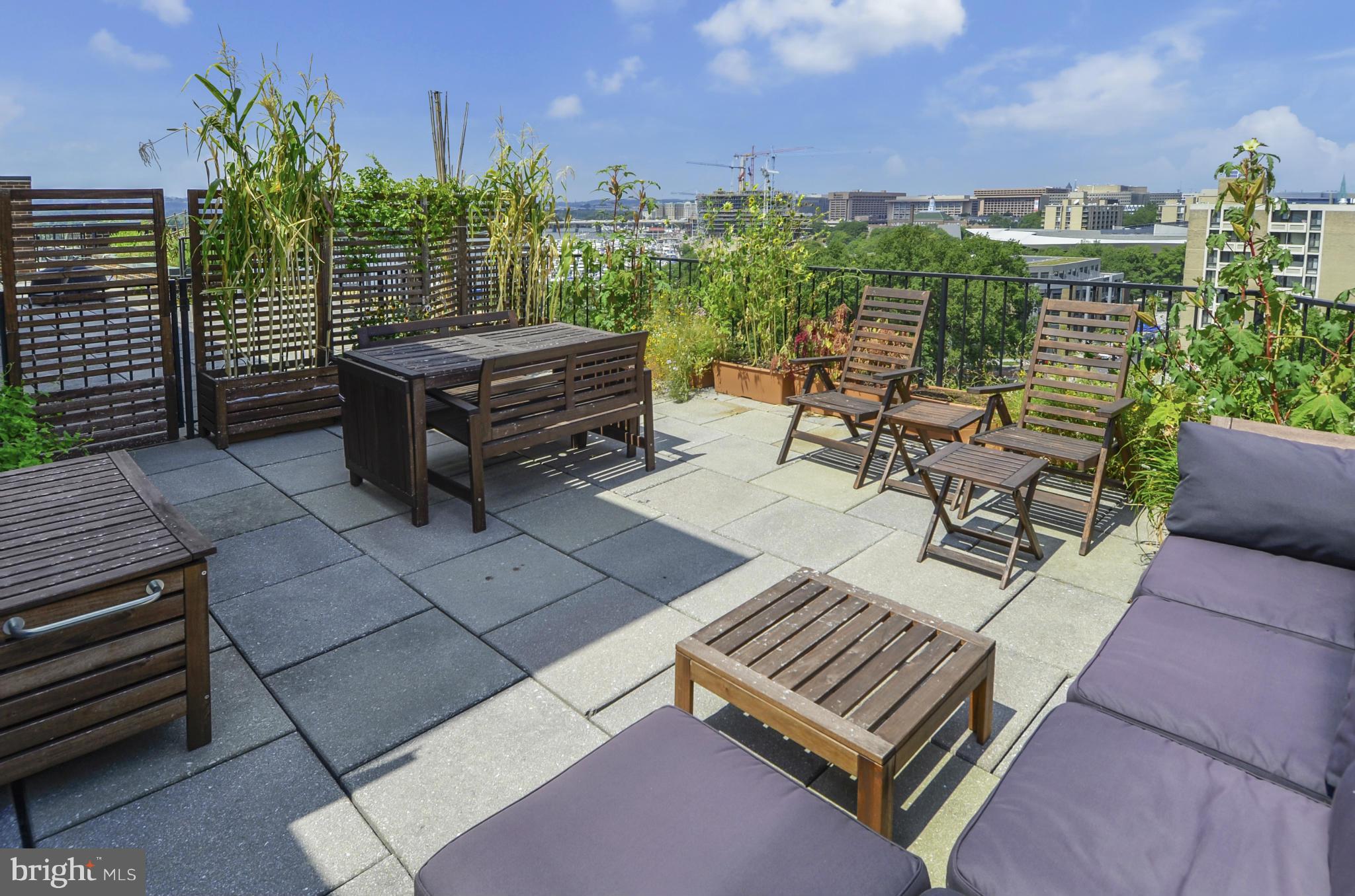 560 N Street Southwest, Unit 8901N Washington, DC 20024 - Photo 24 of 30 Unbelievable Outdoor Space