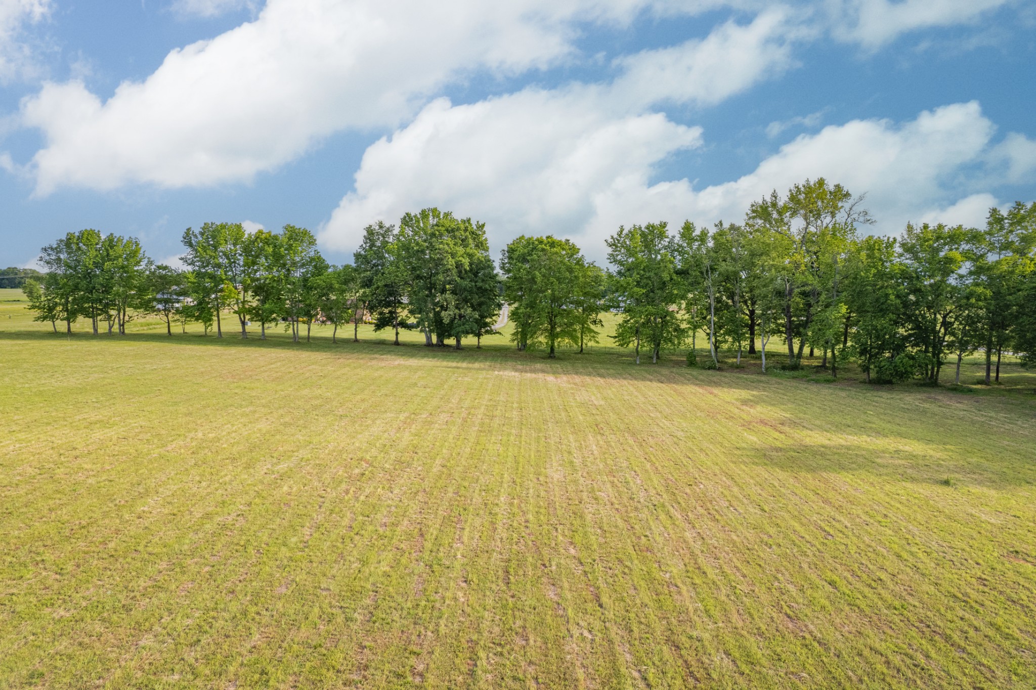 0 Dooley Road Ethridge, TN 38456 - Photo 12 of 17