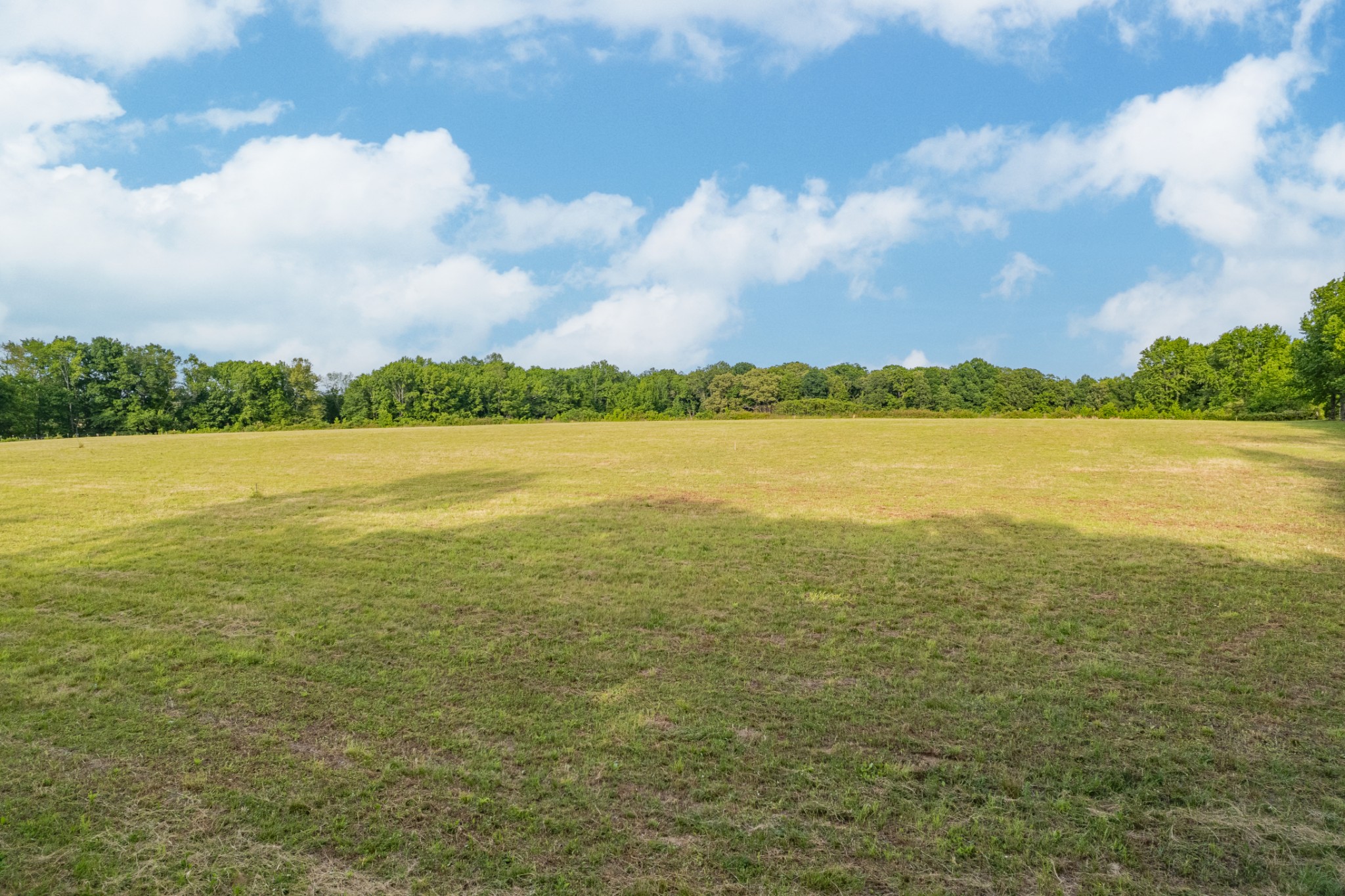 0 Dooley Road Ethridge, TN 38456 - Photo 13 of 17