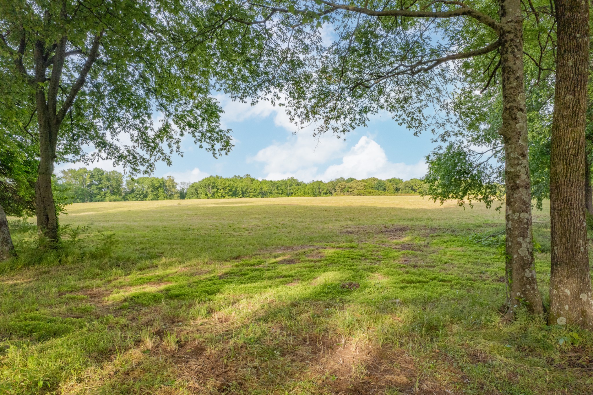 0 Dooley Road Ethridge, TN 38456 - Photo 14 of 17