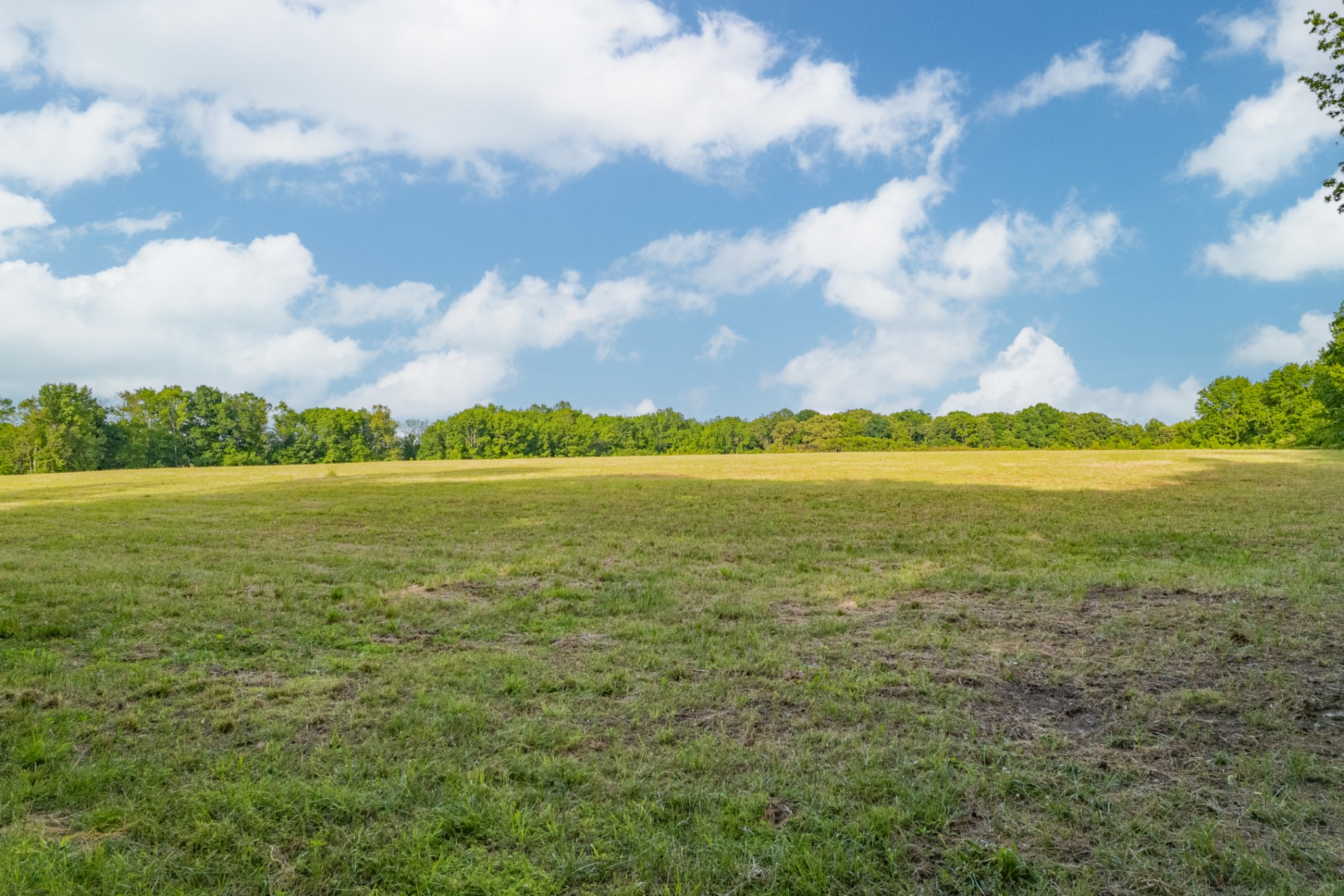 0 Dooley Road Ethridge, TN 38456 - Photo 15 of 17