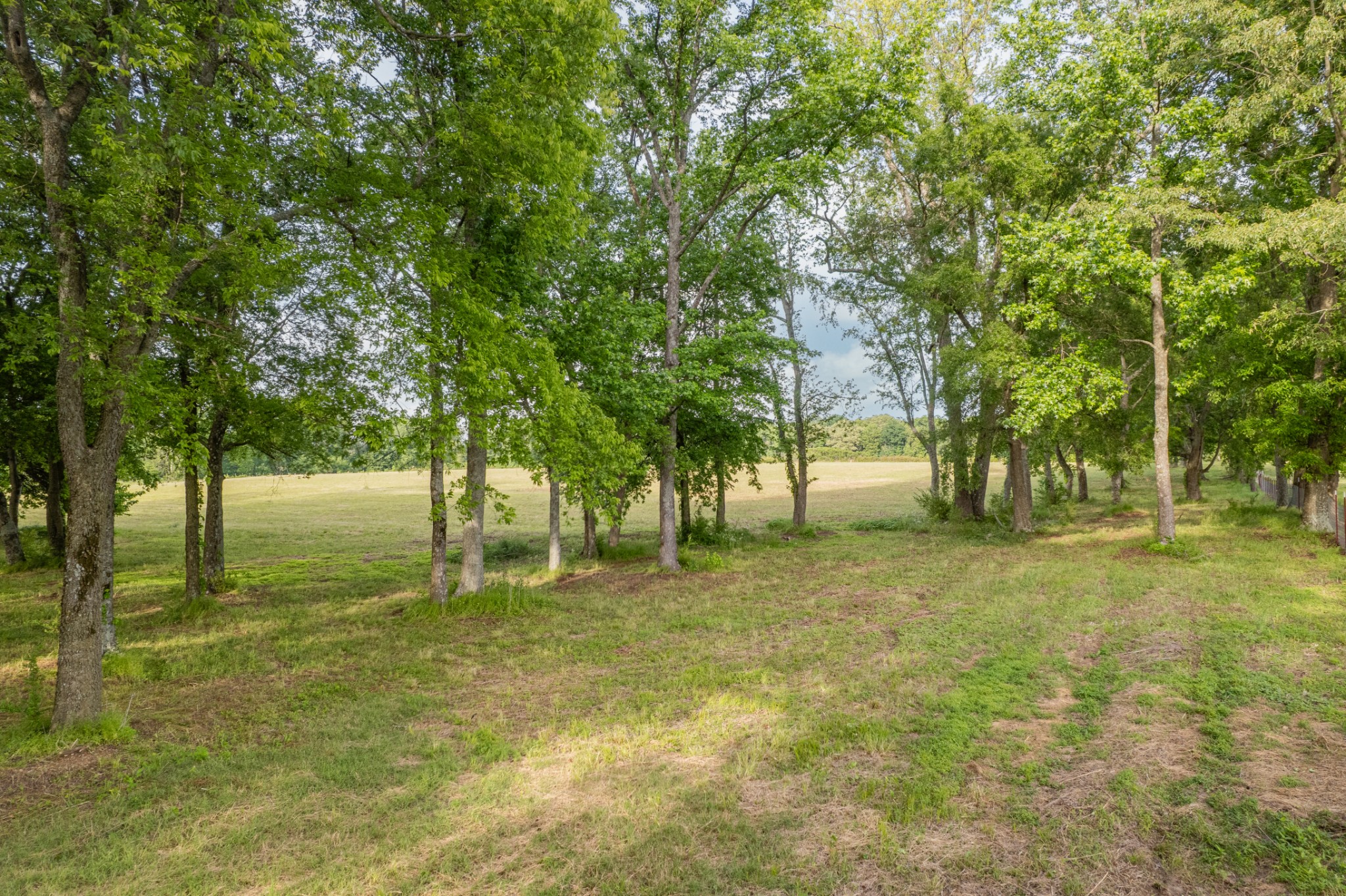 0 Dooley Road Ethridge, TN 38456 - Photo 16 of 17