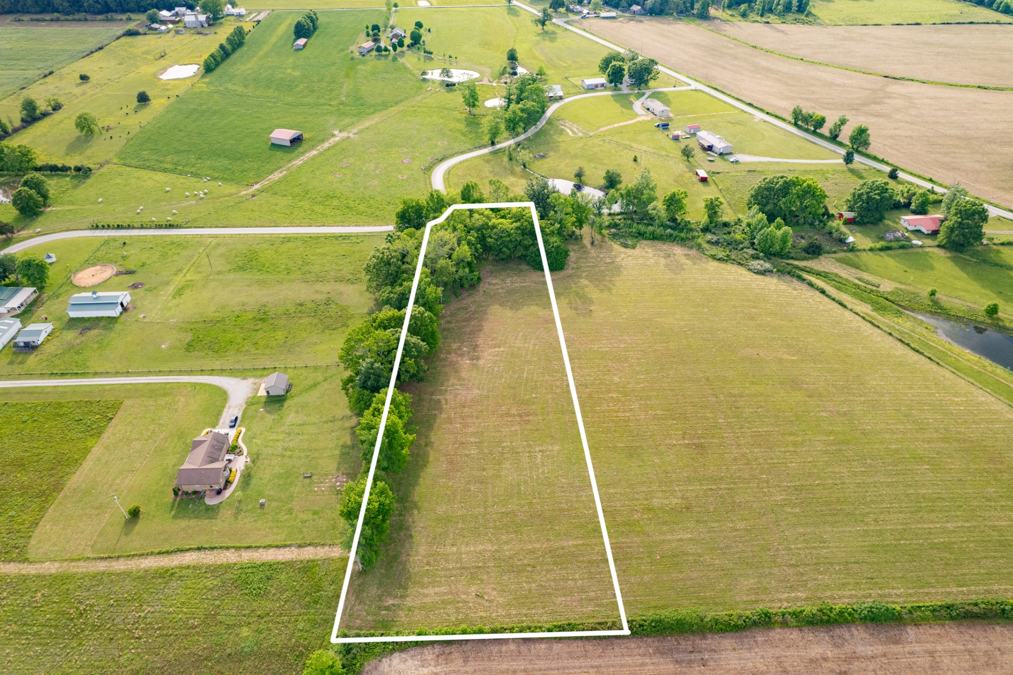 0 Dooley Road Ethridge, TN 38456 - Photo 2 of 17