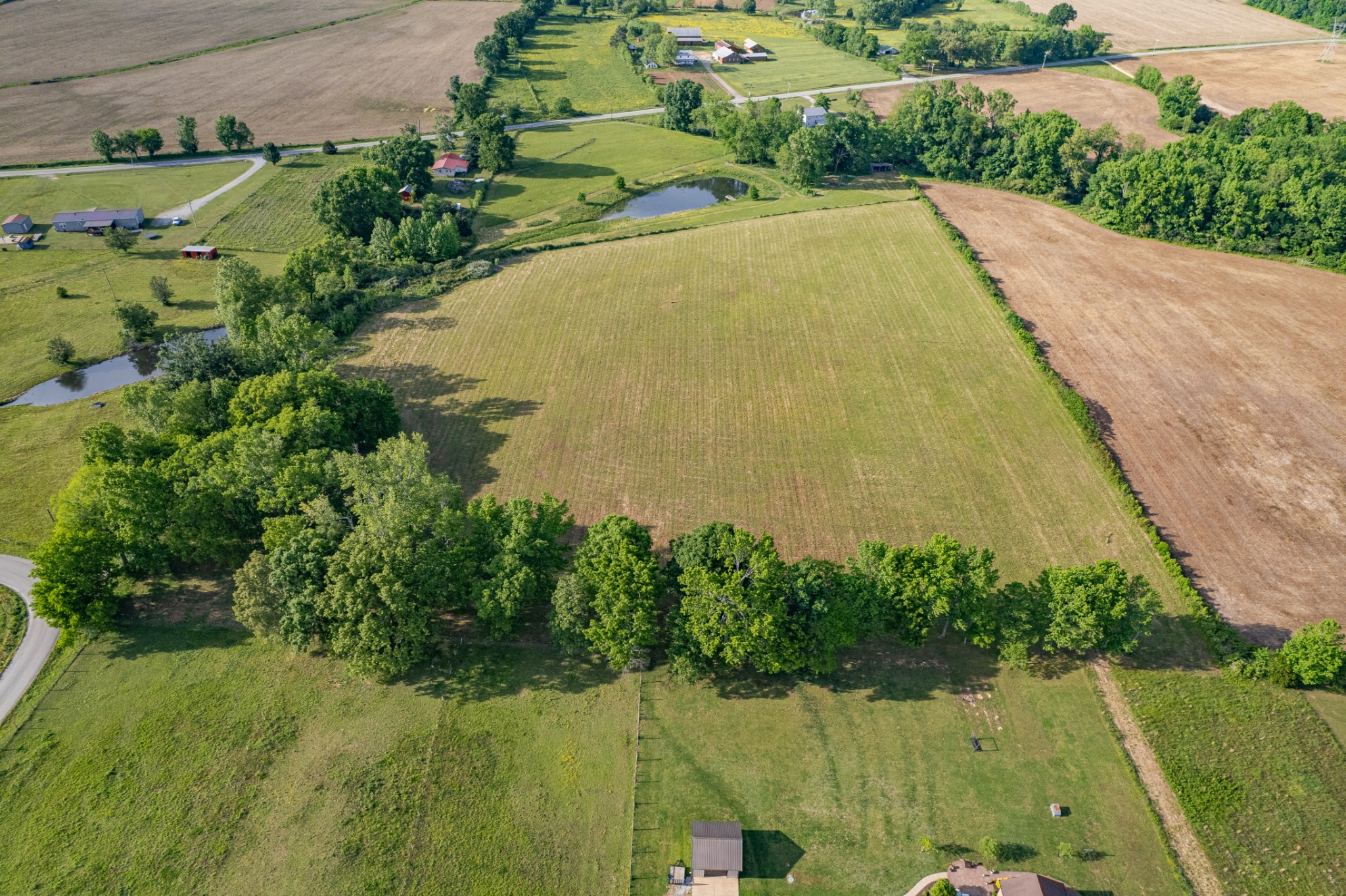 0 Dooley Road Ethridge, TN 38456 - Photo 4 of 17