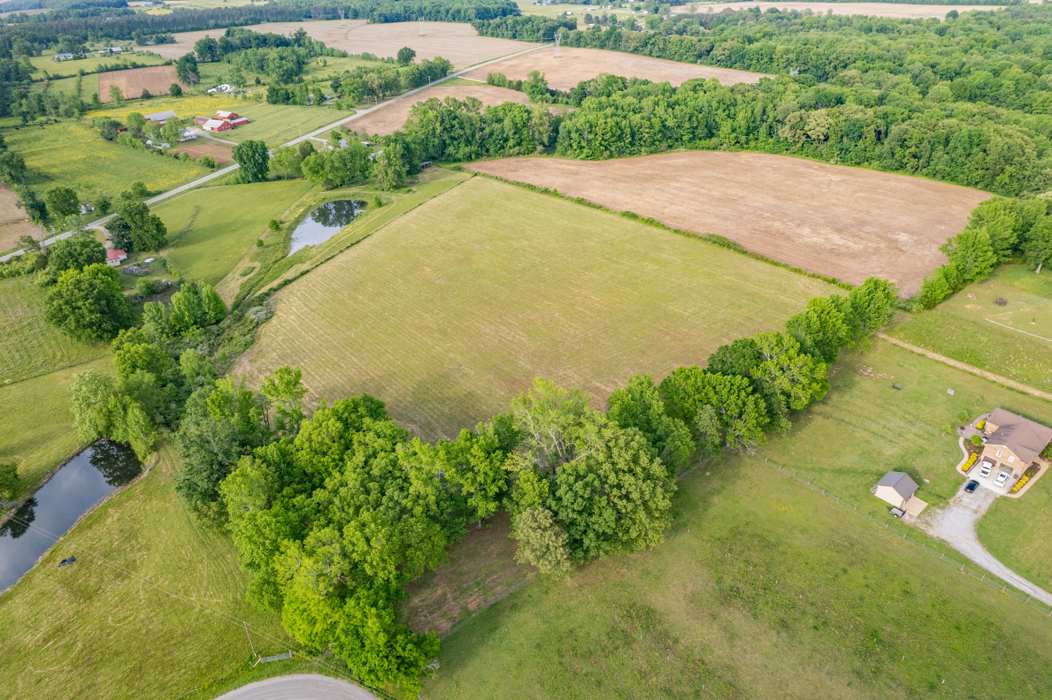 0 Dooley Road Ethridge, TN 38456 - Photo 5 of 17