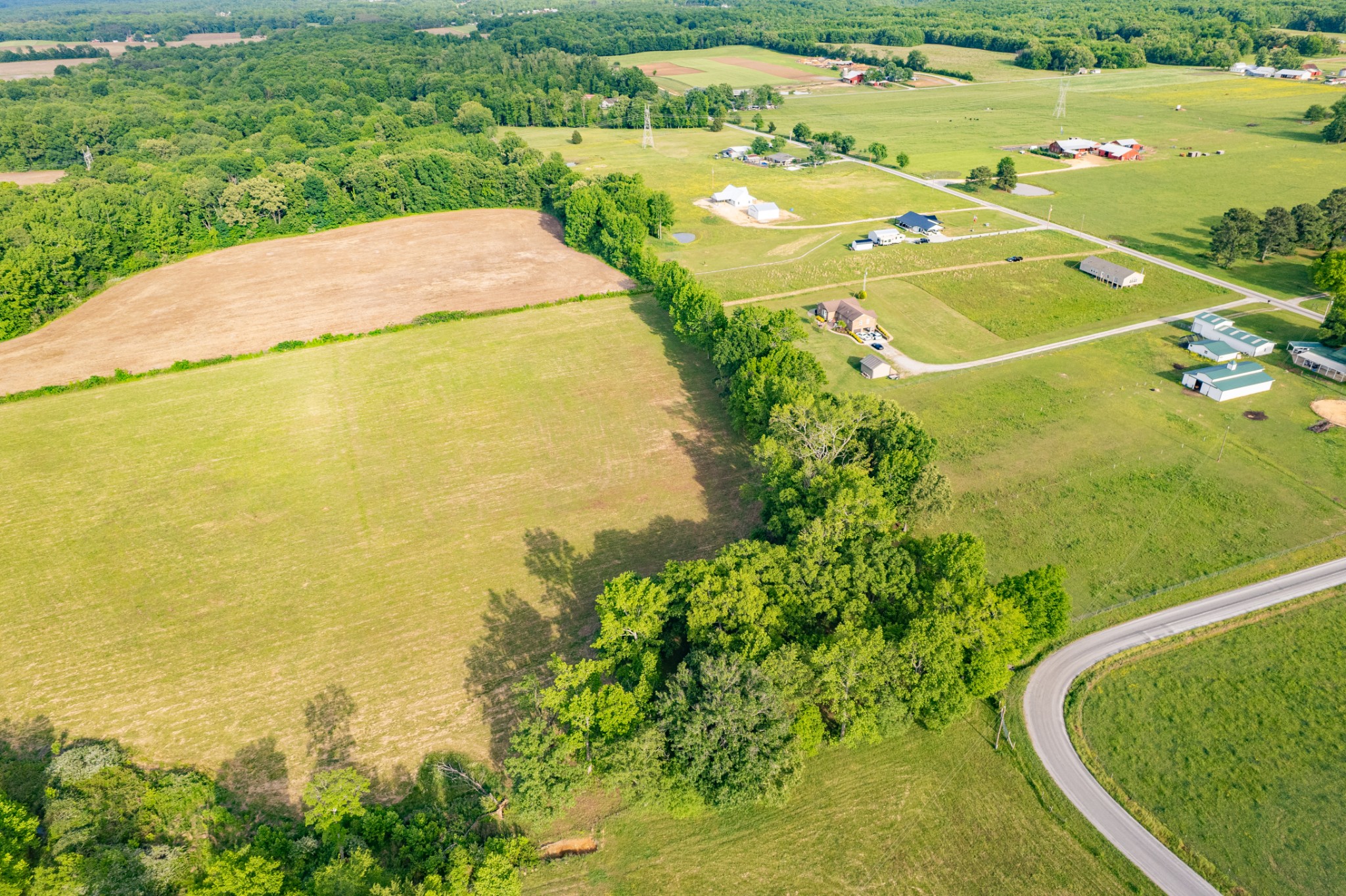 0 Dooley Road Ethridge, TN 38456 - Photo 7 of 17