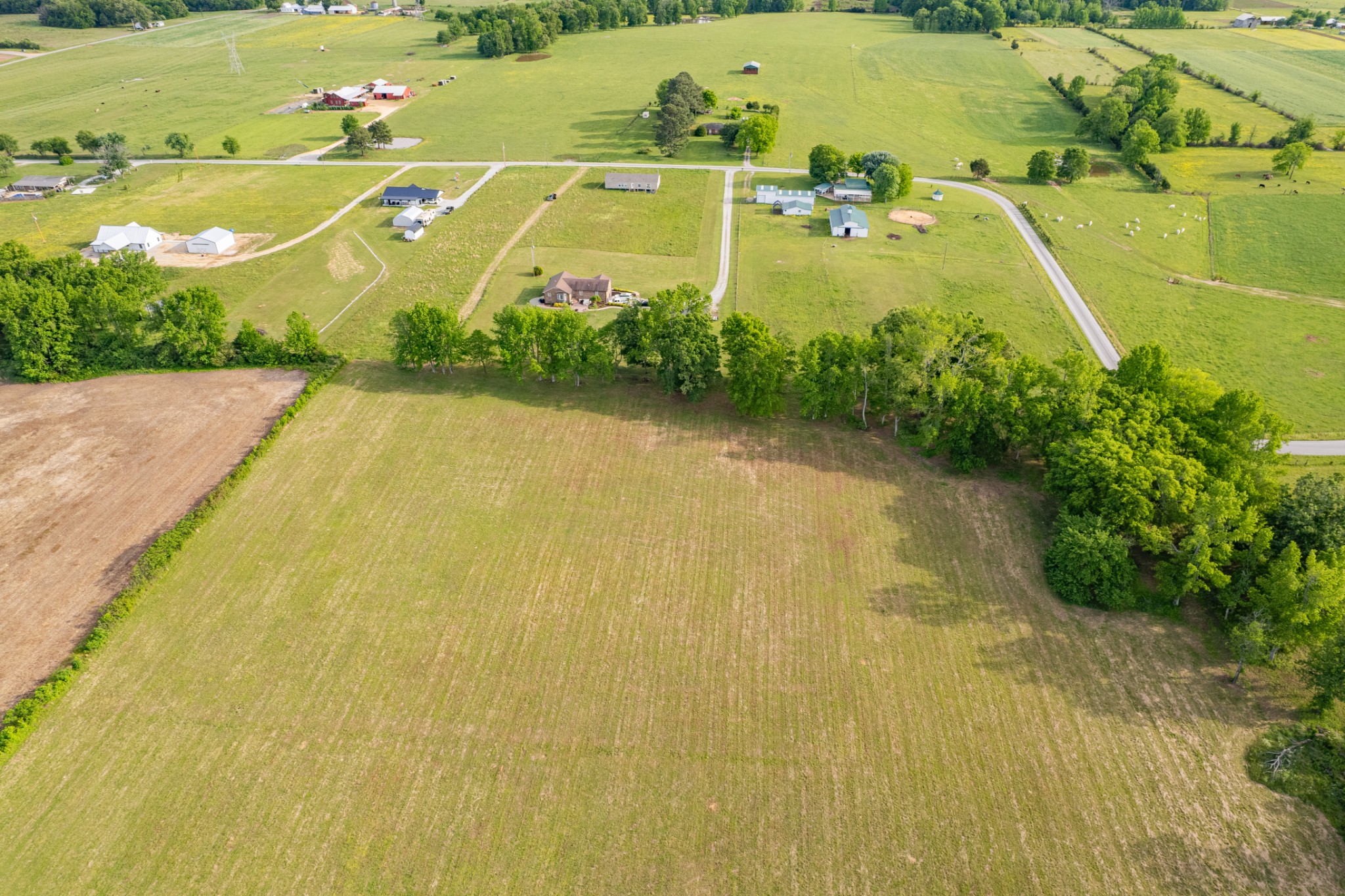 0 Dooley Road Ethridge, TN 38456 - Photo 8 of 17