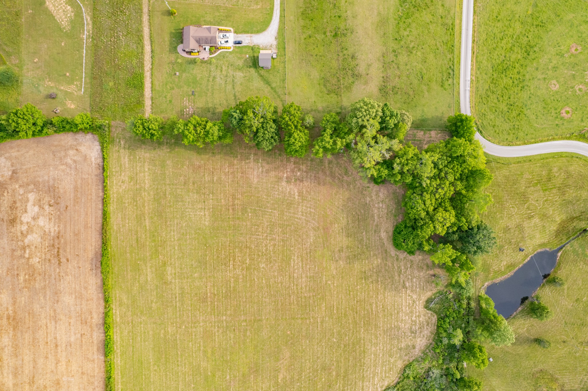 0 Dooley Road Ethridge, TN 38456 - Photo 9 of 17