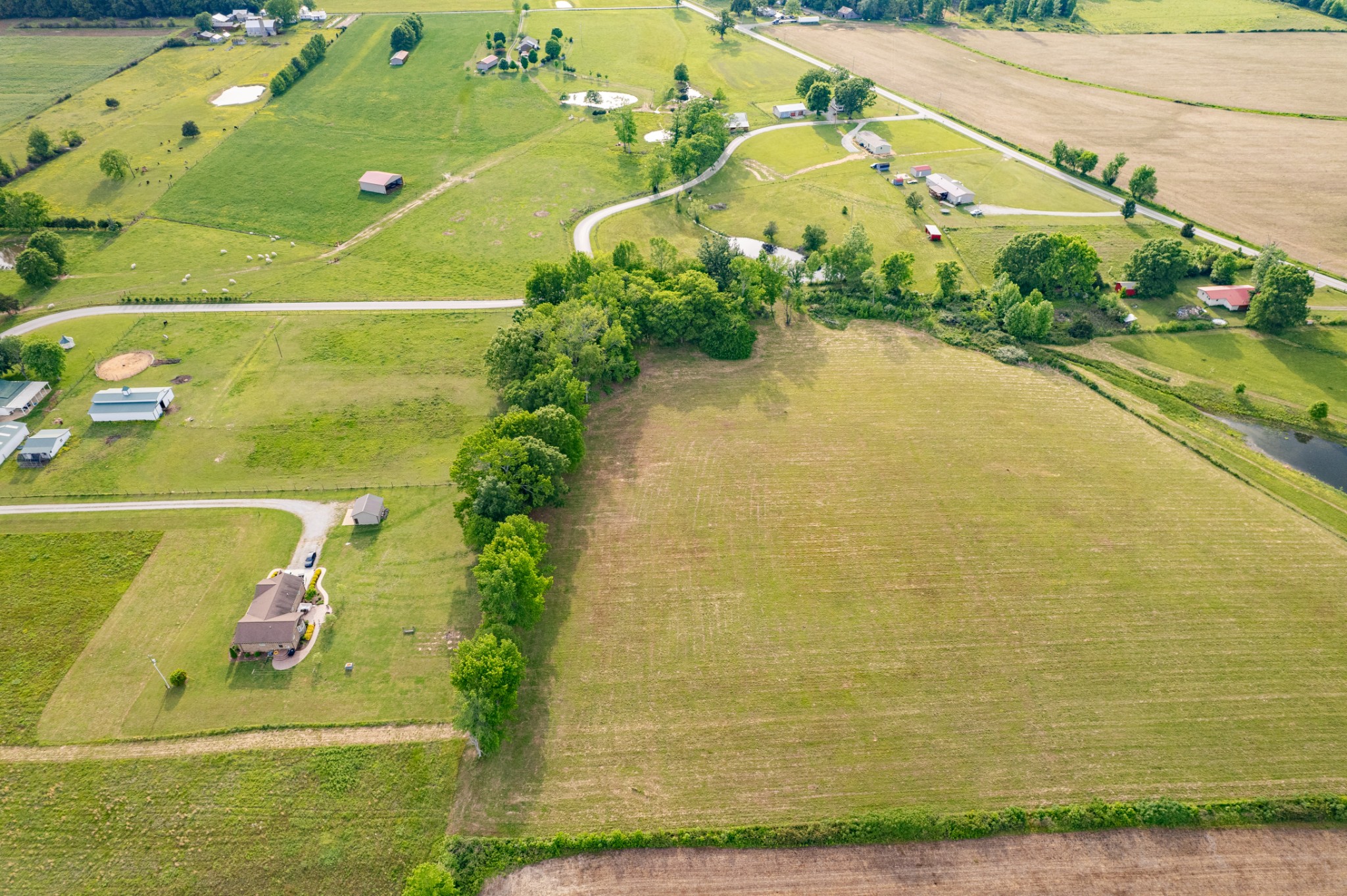 0 Dooley Road Ethridge, TN 38456 - Photo 10 of 17