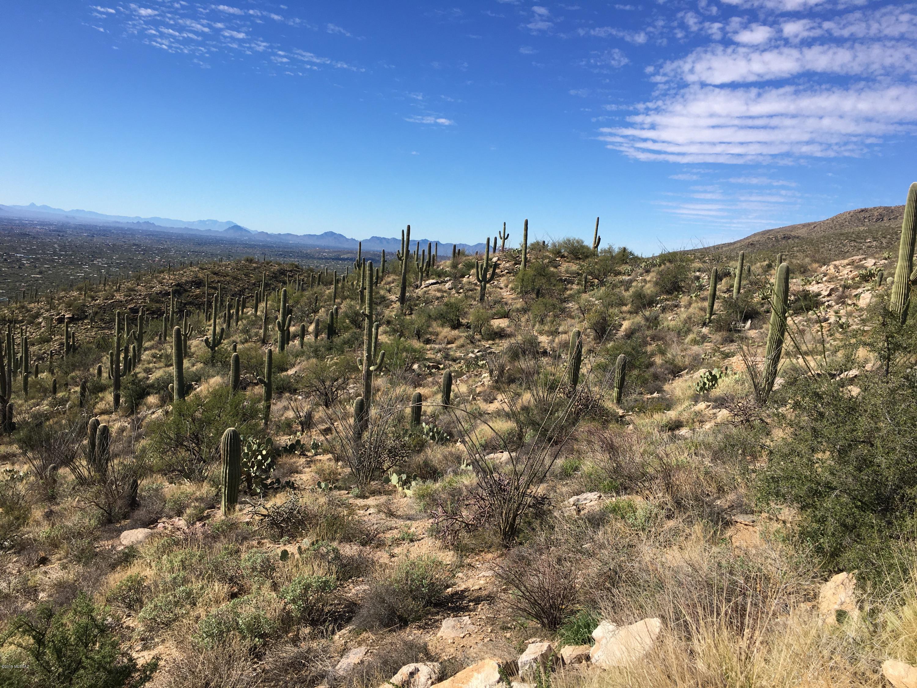 5483 North Wentworth Road Tucson, AZ 85749 - Photo 8 of 14