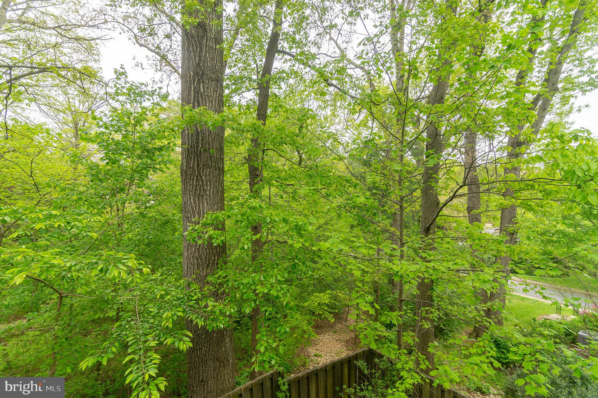 1542 Scandia Circle Reston, VA 20190 - Photo 29 of 29 Gallery Image 29