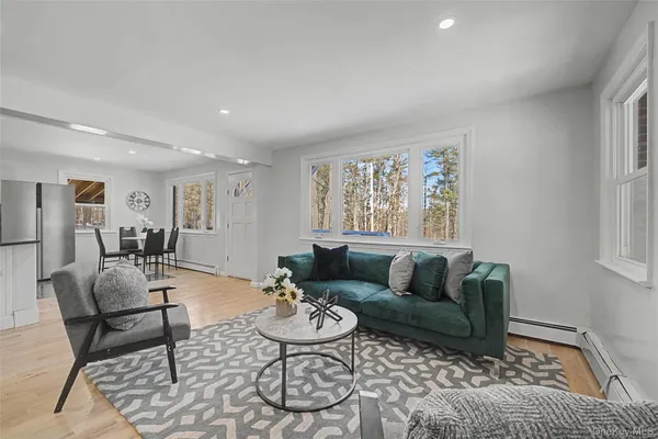 a living room with furniture and a couch