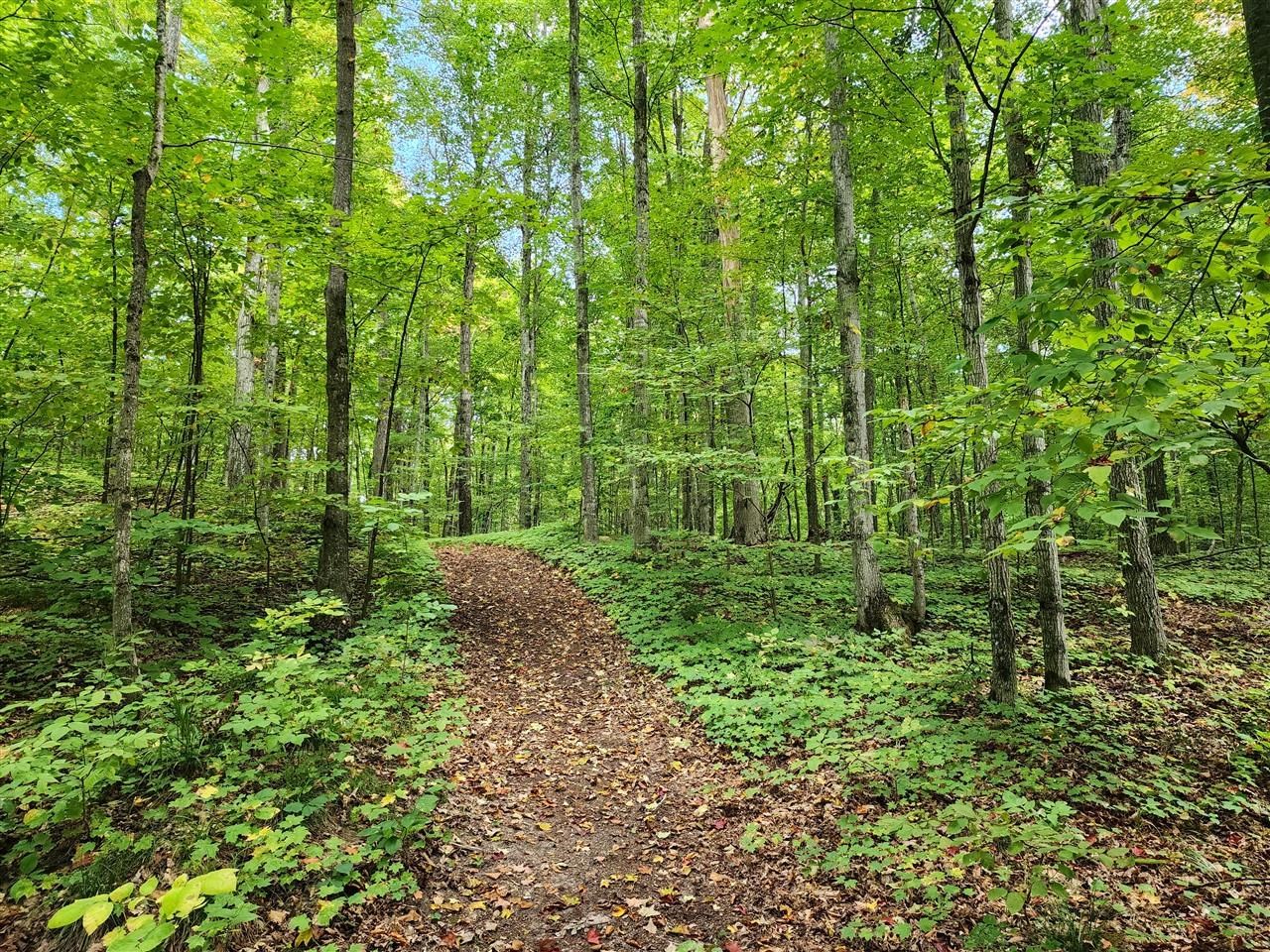 34 Goshawk Ridge Traverse City, MI 49684 - Photo 6 of 21