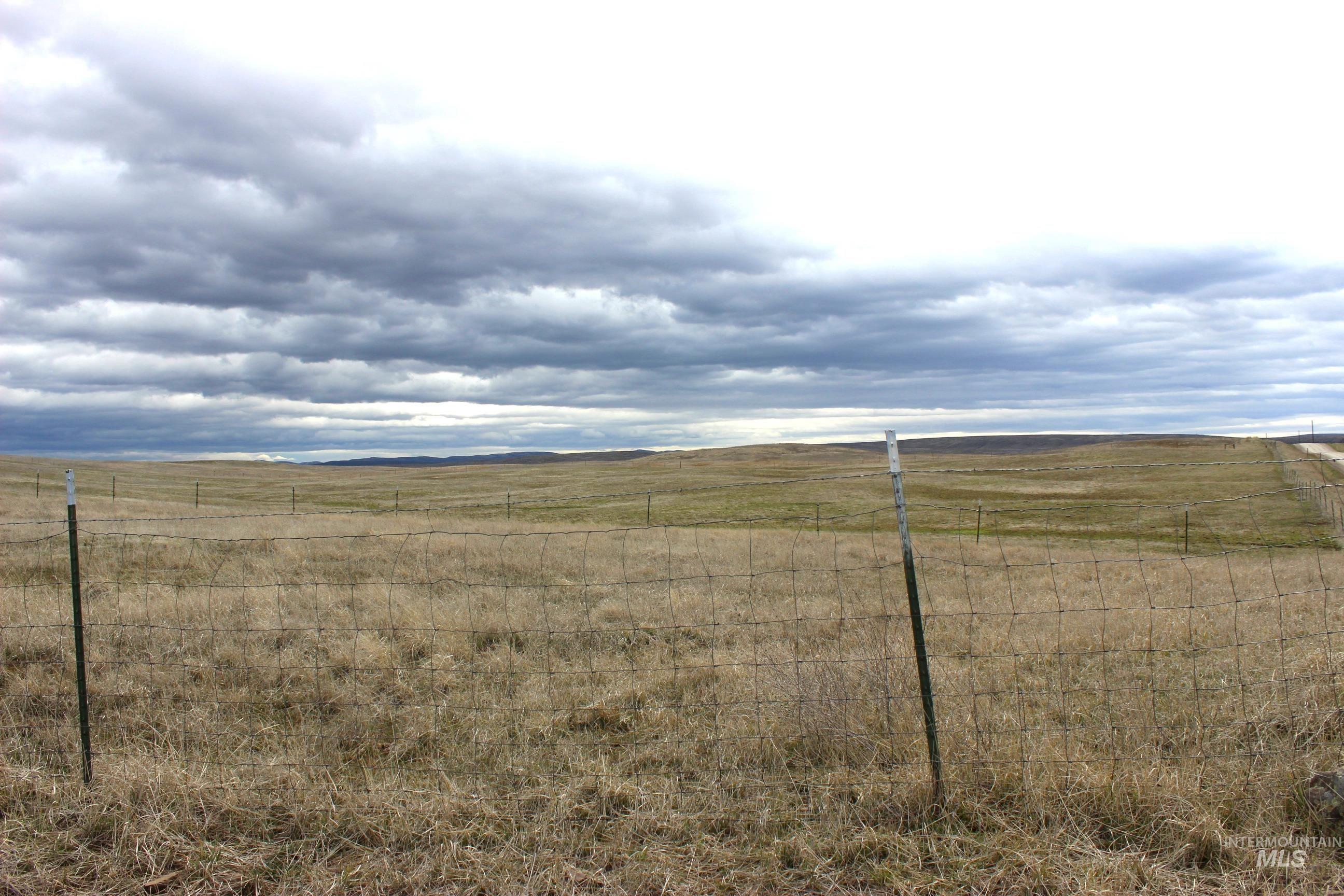 1824 Dutch Flat Road Midvale, ID 83645 - Photo 32 of 41 View of yard with a rural view