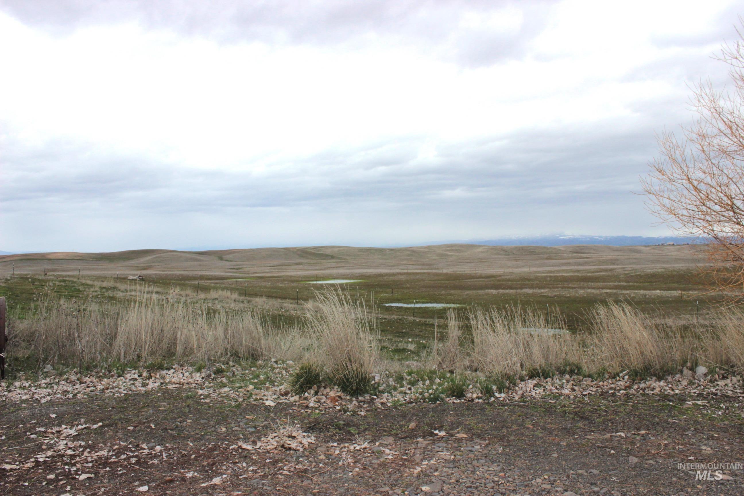 1824 Dutch Flat Road Midvale, ID 83645 - Photo 34 of 41 View of mountain backdrop with rural landscape